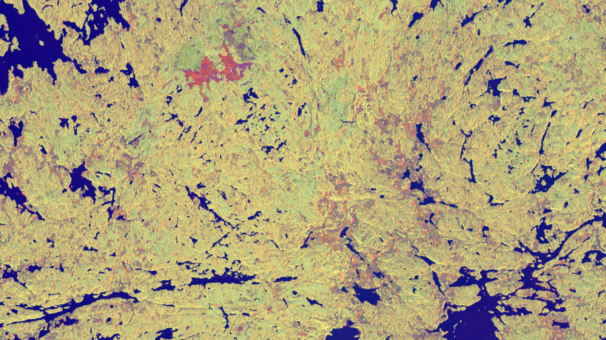 use case 5: forest biomass and carbon estimation using Sentinel-1 data